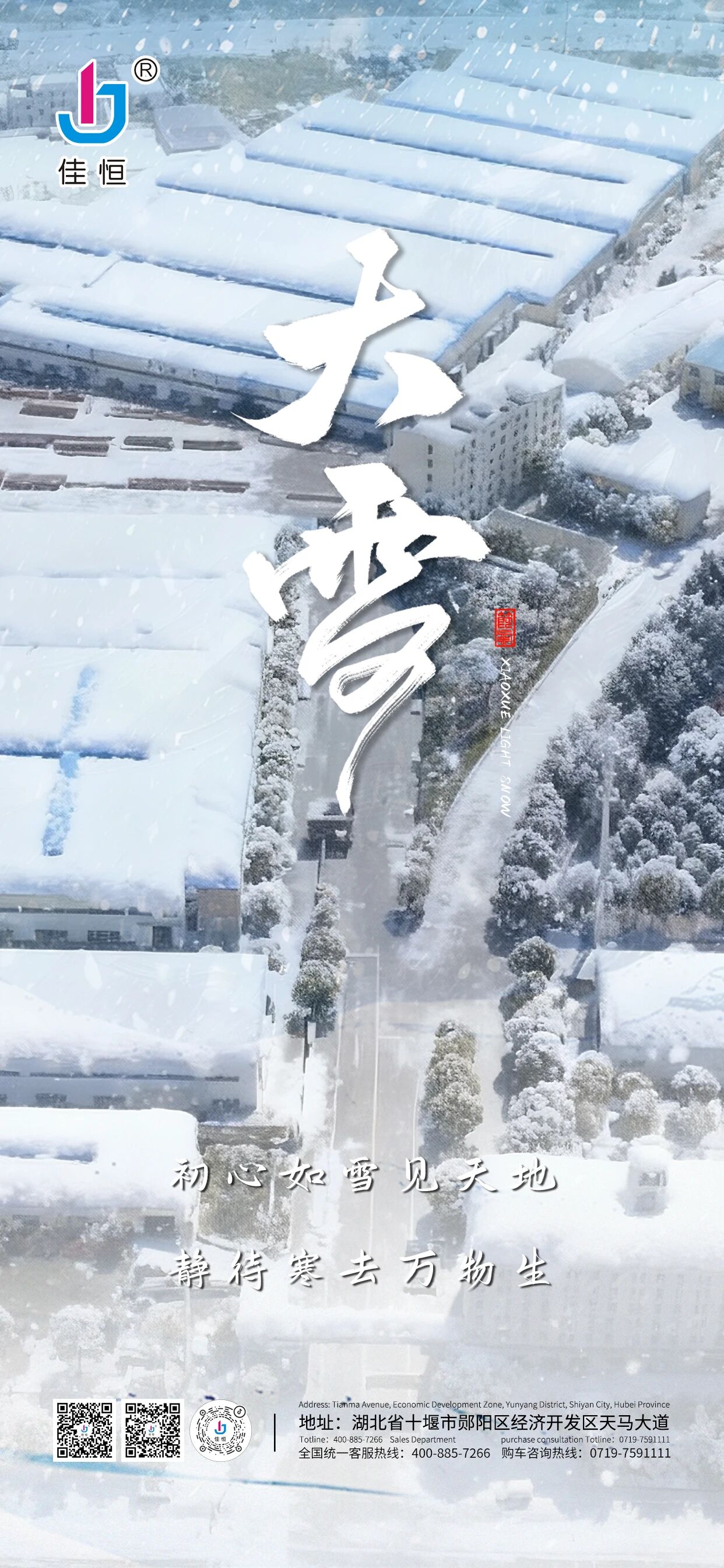 �����Г������Ѻ㌍���o��